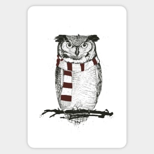 Winter owl II Sticker